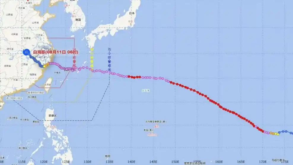 浙江发布白海豚评估报告:路径罕见热搜配图